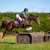 Horse image