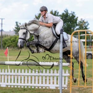 Horse for sale: Holsteiner Gelding With Scope