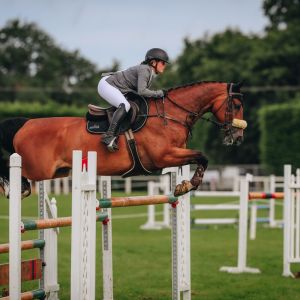 Horse for sale: Ultimate YR/GP HORSE