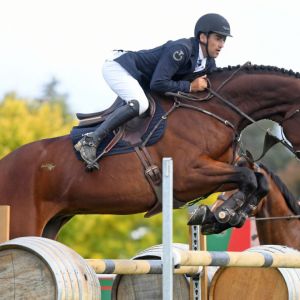 Horse for sale: YR/Pro Am horse ready to go
