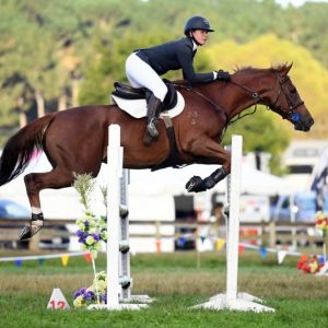 Exceptionally talented and generous jumper/eventer 