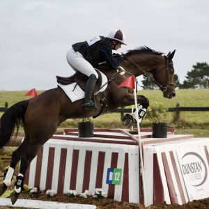 Horse for sale: ESTABLISHED, POWERFUL, COMPETITIVE  3* EVENTER
