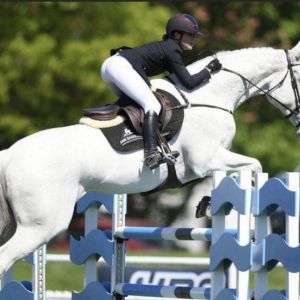 Horse for sale: Ultimate Competitive Holsteiner x