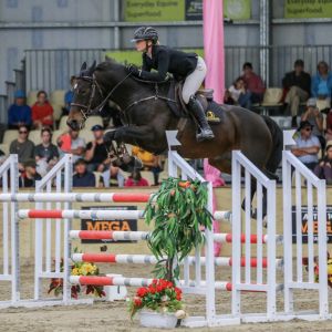 Horse for sale: Potential Top Level Jumping Mare