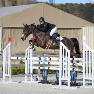 Enya NZPH- Competitive Junior/Amateur Mount 