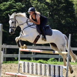 Horse for sale: Bold first hack