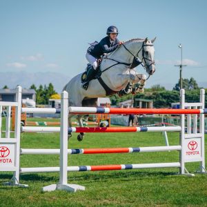 Talented Grand Prix Jumper