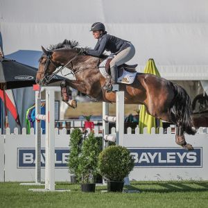 Horse for sale: Show Jumping Superstar