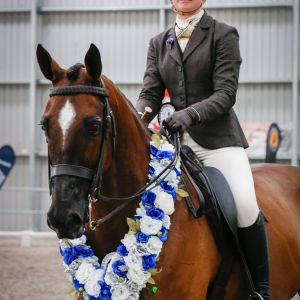 Champion Saddle Hunter Horse