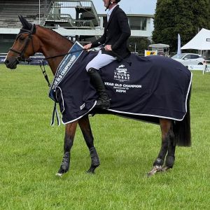 NZ Young Horse 4yr Champion