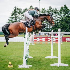 Competitive Young Rider Mount 