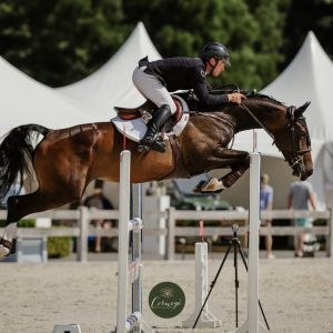 Horse for sale: A SERIOUSLY, SERIOUS, BIG FUTURE