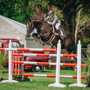 Horse for sale: Winner at National Champs - Super fun Mini Prix Showjumper