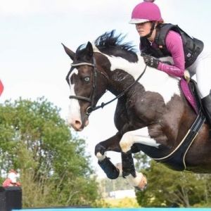 Horse for sale: Eye-catching All Rounder