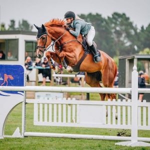 Horse for sale: Obelix MVNZ
