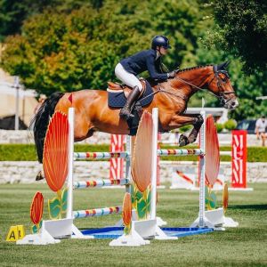 Catapult Xtreme - Show jumper