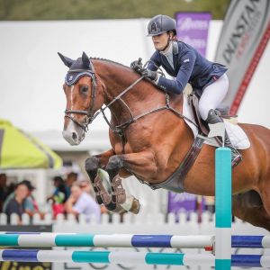 Horse for sale: Catapult Xtreme - Show jumper