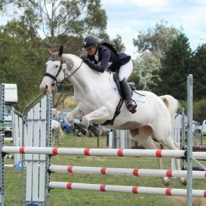 Horse for sale: Ideal first hack with scope for more 