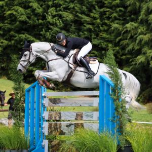Top Grand Prix Show Jumper 