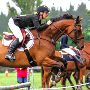 Horse for sale: Beaumont Flare. Talented Sporthorse