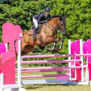 Horse for sale: Super JR / Young / Am/ Pro Am