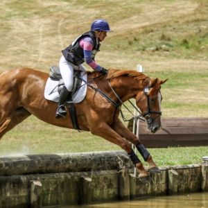 Horse for sale: Big Bold Eventer/ Hunter