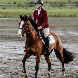 Horse for sale: My Chance Encounter (Mouse)