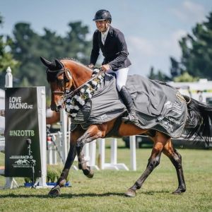 Horse for sale: Showjumping Schoolmaster for the higher levels 