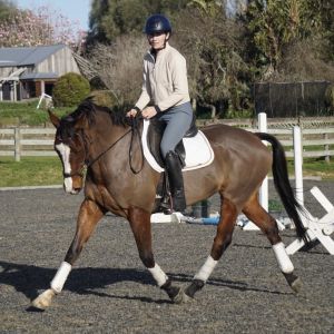 Horse for sale: Talent and Presence in Spades