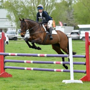 Horse for sale: Consistent 105 eventer with potential for 2*