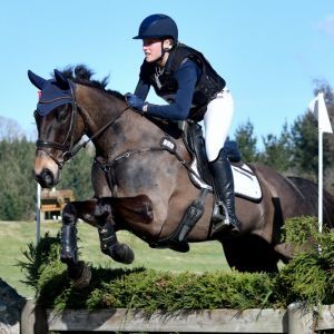 Horse for sale: Safe, Fun & Talented Stationbred 