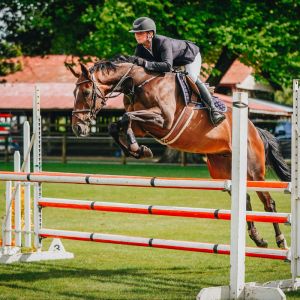 Horse for sale: Potential for a fun competitive future!