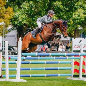 COMPETITIVE AND FUN SHOW JUMPER