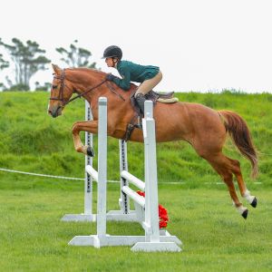 EXCEPTIONALLY TALENTED EAST COAST MARE 
