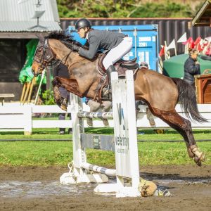 JR/AM/ProAm Schoolmaster