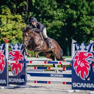 Experienced Show Jumping Holsteiner Mare, 11yrs