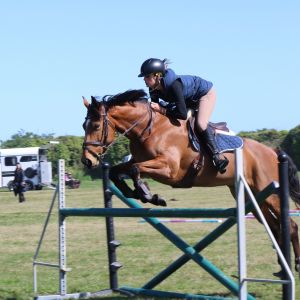 Horse for sale: Silverfern Lady Vivace