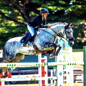 Horse for sale: Exciting prospect for the future 