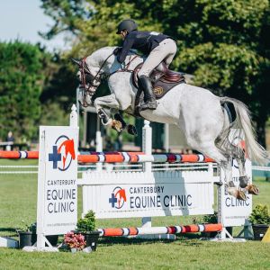 Horse for sale: Top Level Future Prospect YR/GP mount