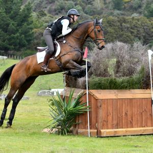 Horse for sale: Consistent and competitive Performer - National Eventing Title holder