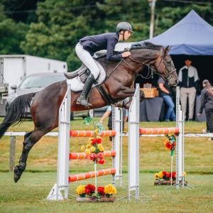 Horse for sale: JUNIOR RIDER POTENTIAL