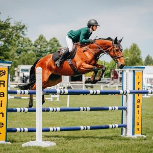 Showjumper- JR, ProAm, Amateur 