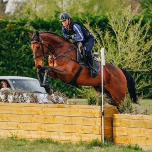 Horse for sale: Stunning Eventer/Showjumper