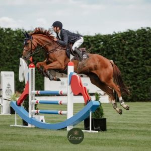 Stunning Eventing Prospect