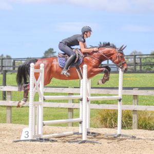 Kind talented young rider prospect