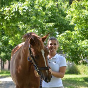 Spunky Bright Prospect (Rising 2 year old mare) 