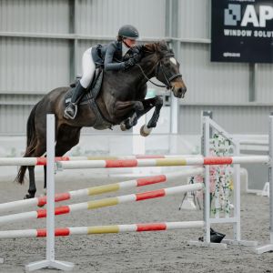 Horse for sale: Ultimate First Hack 