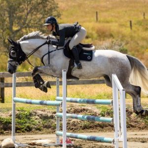 Fun Amatuer/Pro Am/Junior Horse 