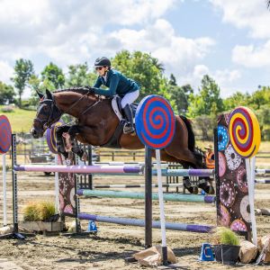 Burley RF - Exceptional Young Warmblood