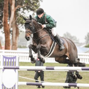 Junior/ Young Rider/ Amateur Horse!!